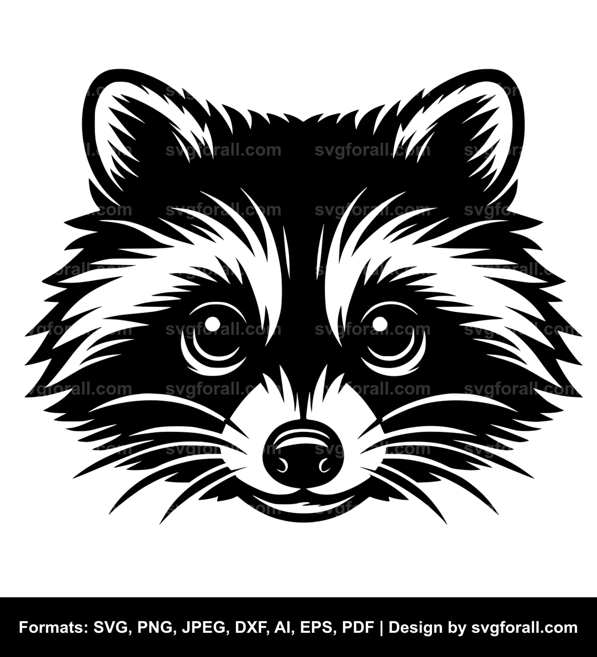 Raccoon SVG PNG