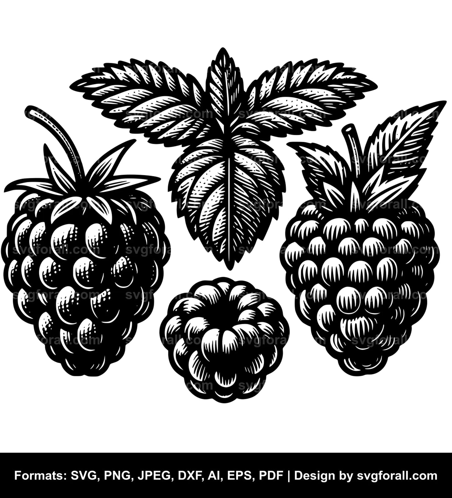 Raspberry Vector SVG