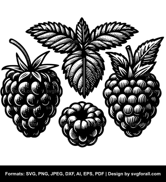 Raspberry Vector SVG