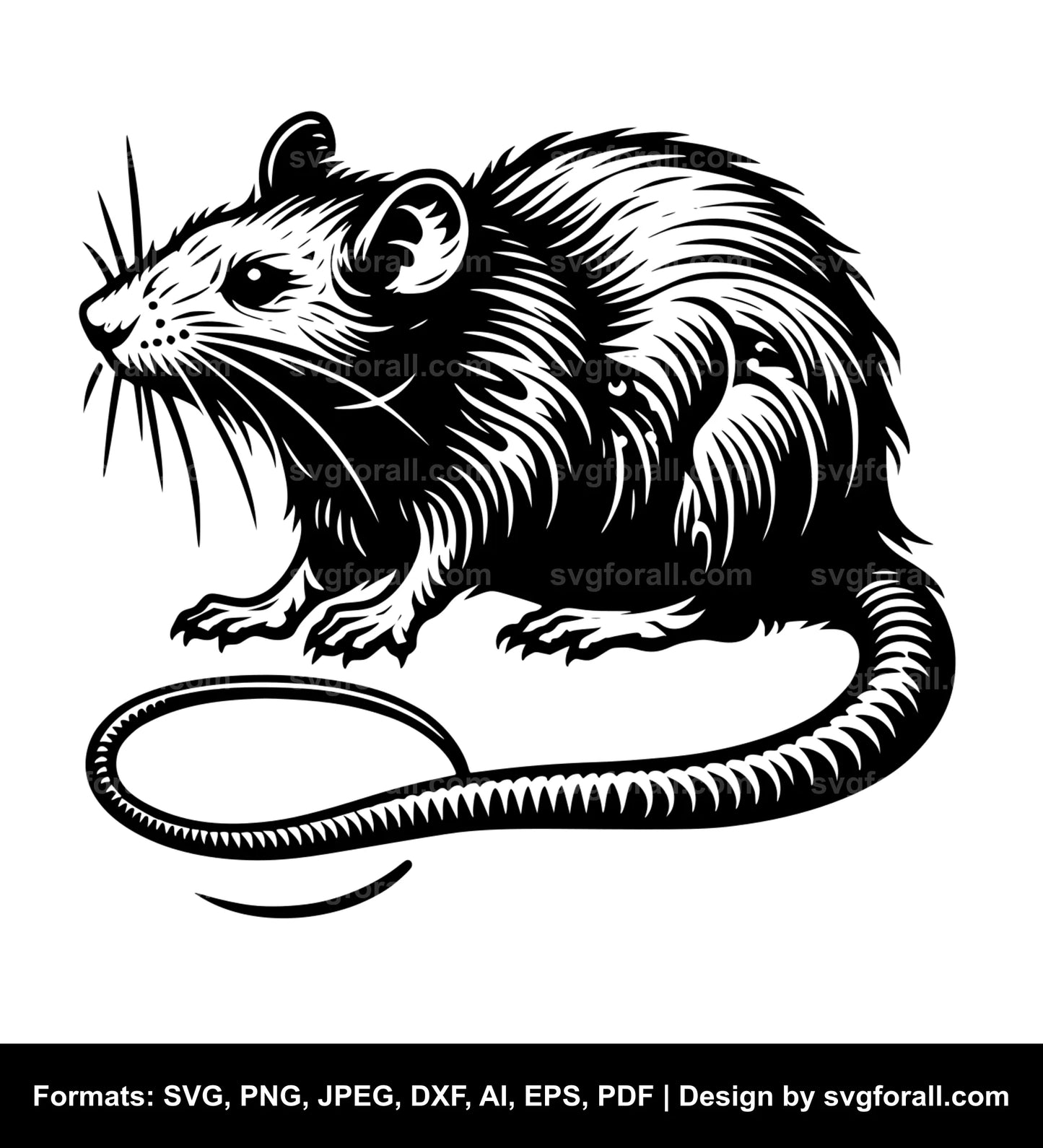 Rat SVG PNG