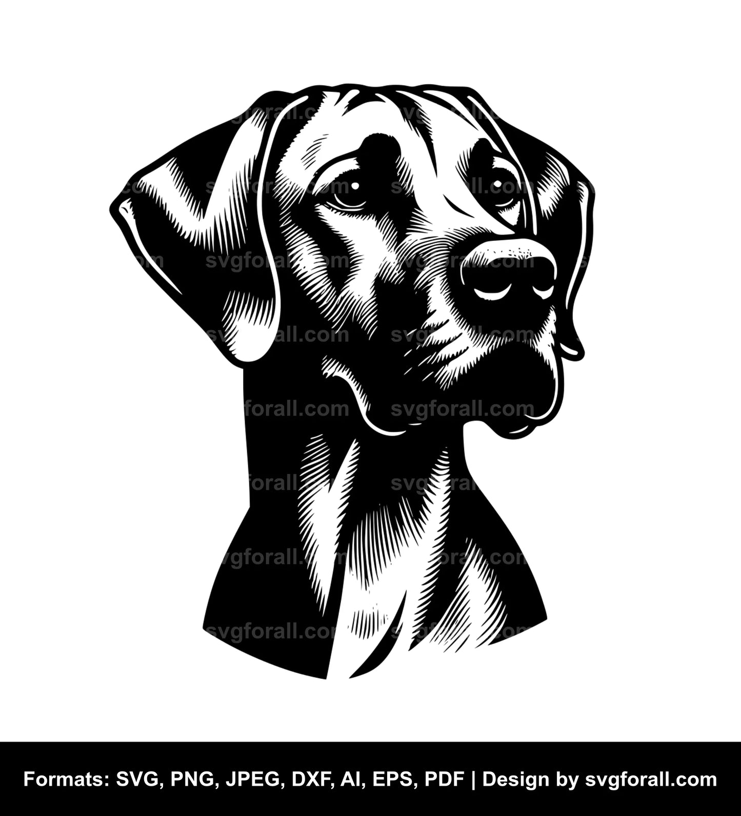 Rhodesian Ridgeback Dog Black SVG