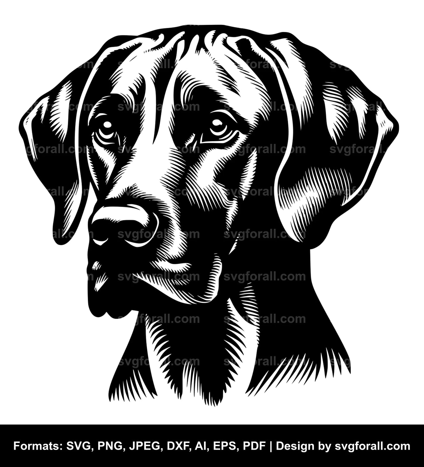 Rhodesian Ridgeback Dog SVG File