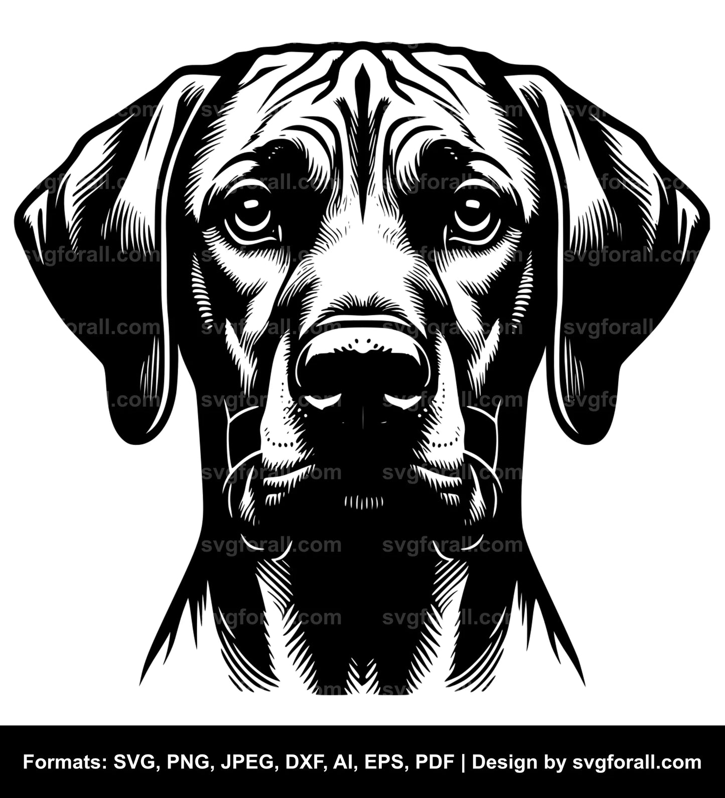 Rhodesian Ridgeback Dog SVG PNG