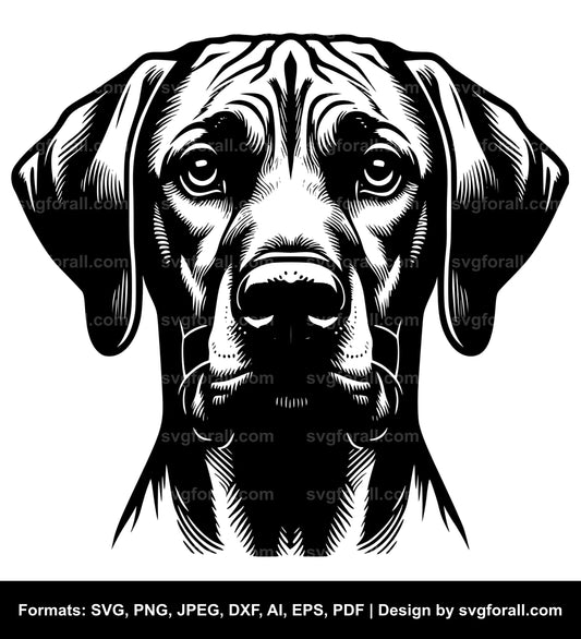 Rhodesian Ridgeback Dog SVG PNG