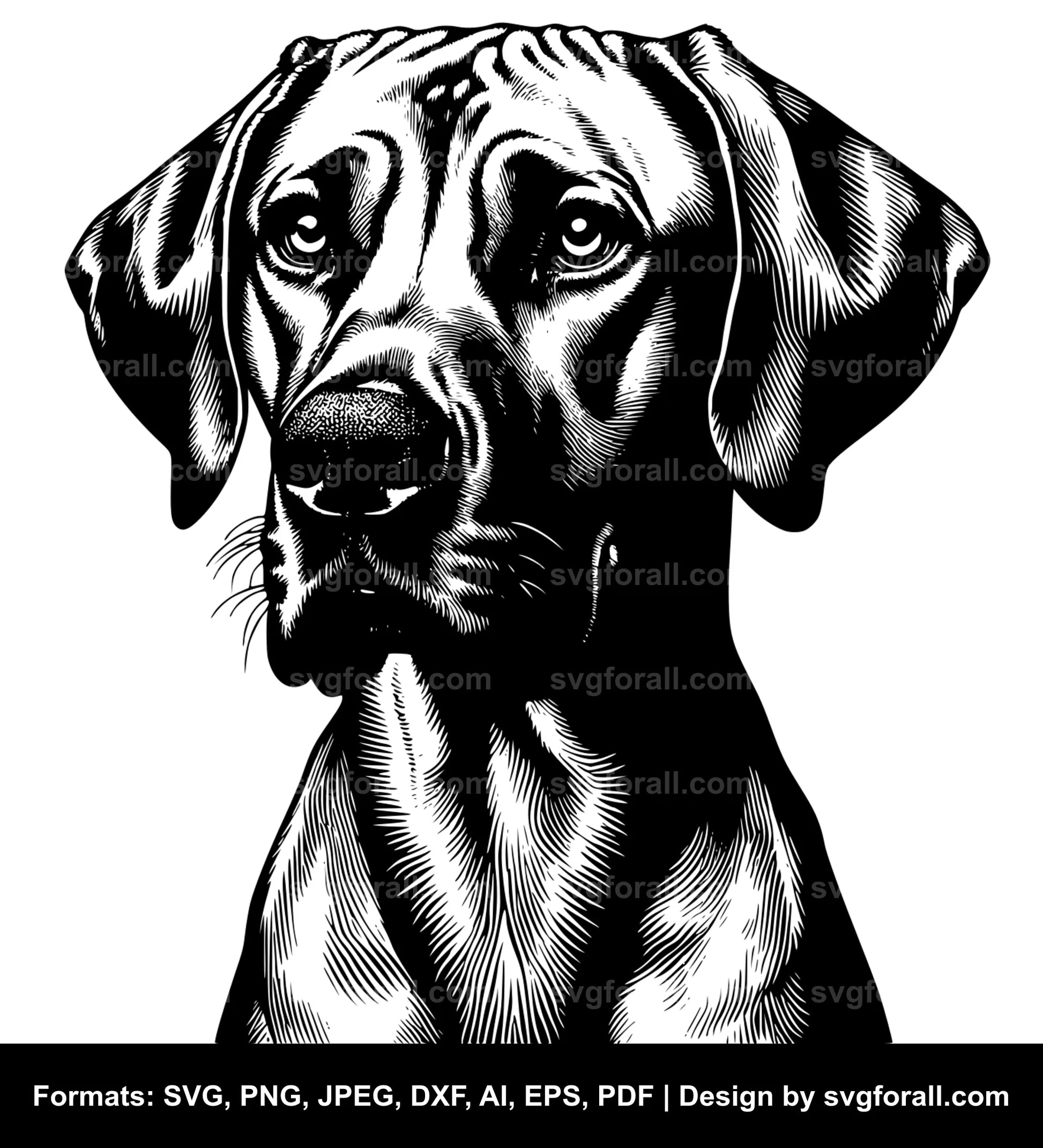 Rhodesian Ridgeback Dog Vector SVG