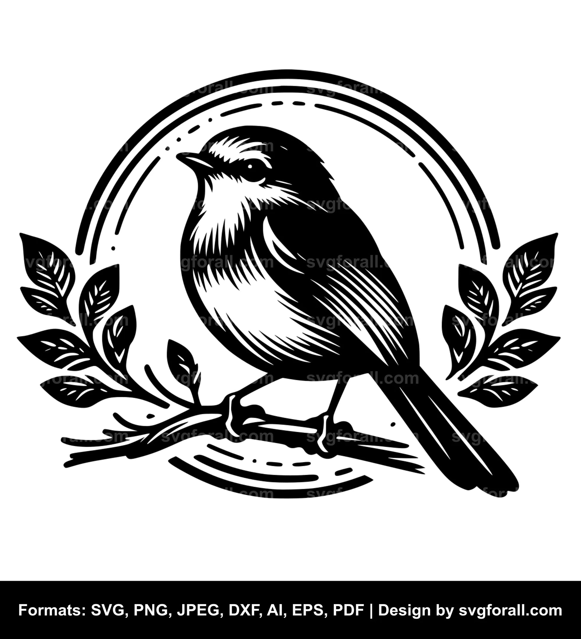 Robin Bird SVG