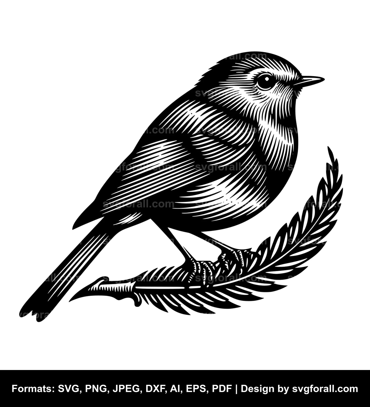 Robin Bird SVG Design