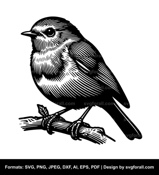 Robin Bird SVG File