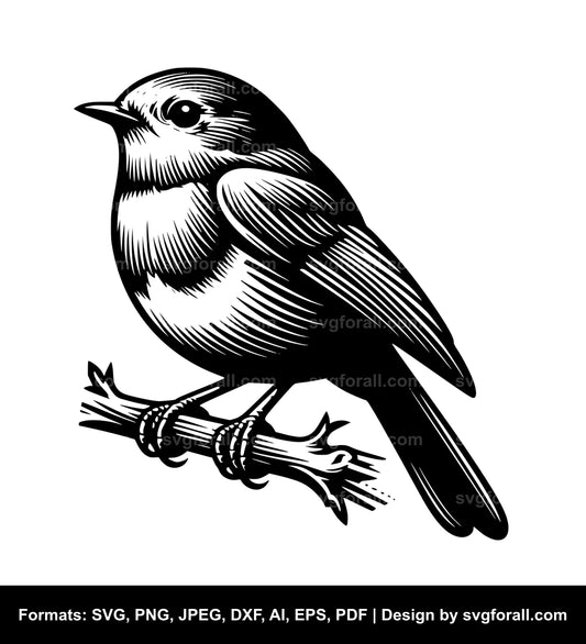 Robin Bird SVG Vector