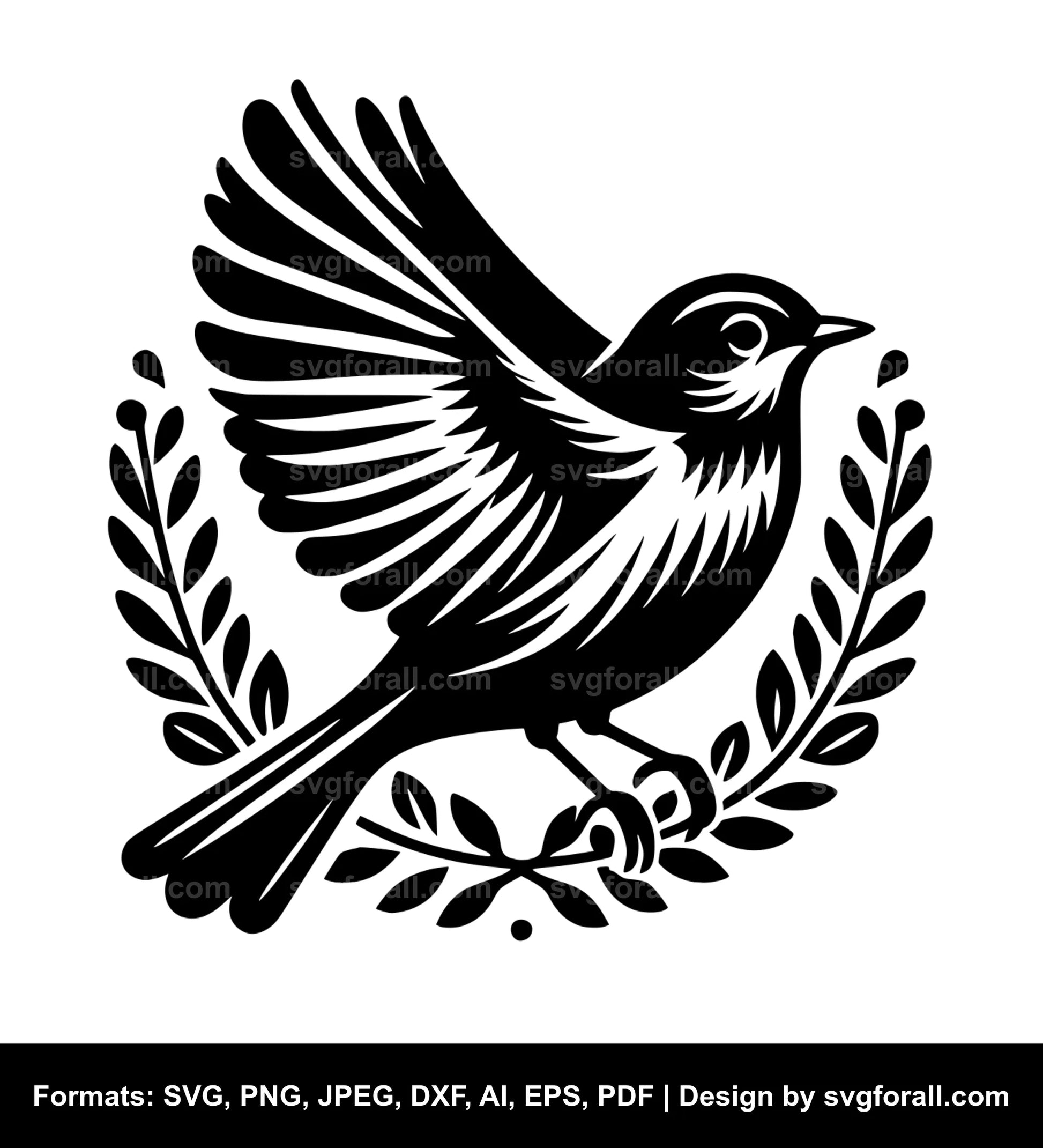 Robin Bird Vector SVG