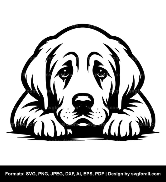 Sad Dog SVG File