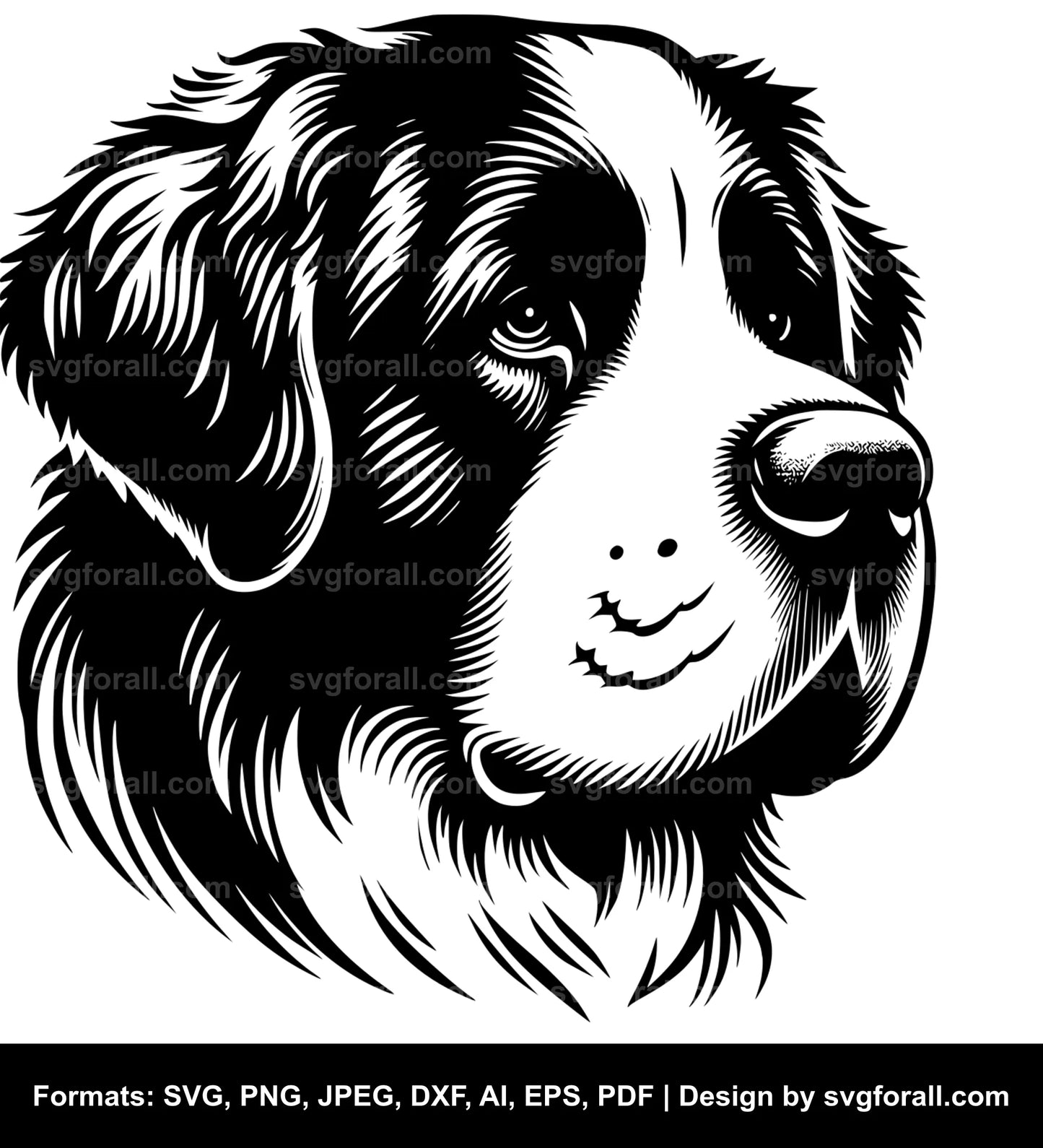 Saint Bernard Dog Black SVG