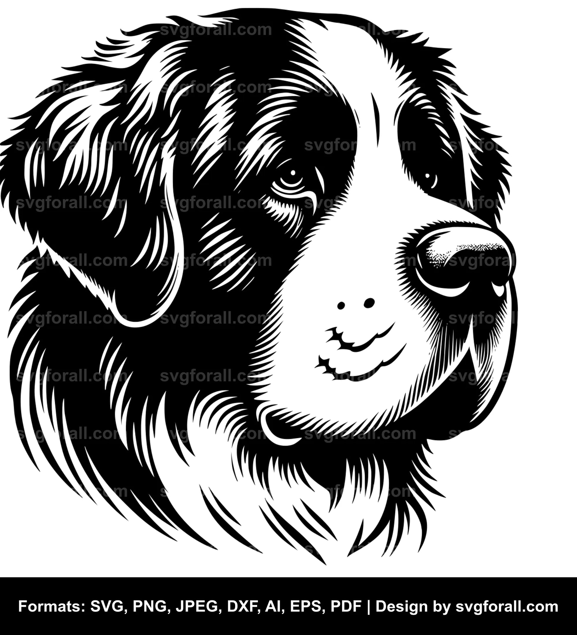 Saint Bernard Dog Black SVG