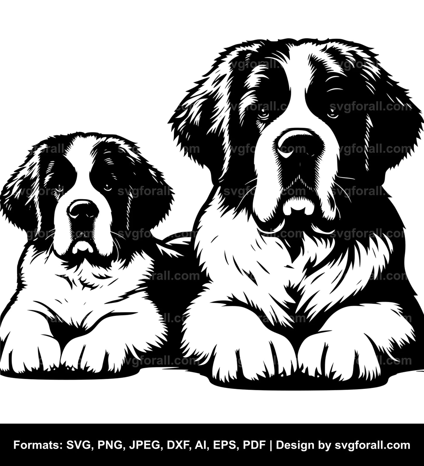 Saint Bernard Dog SVG