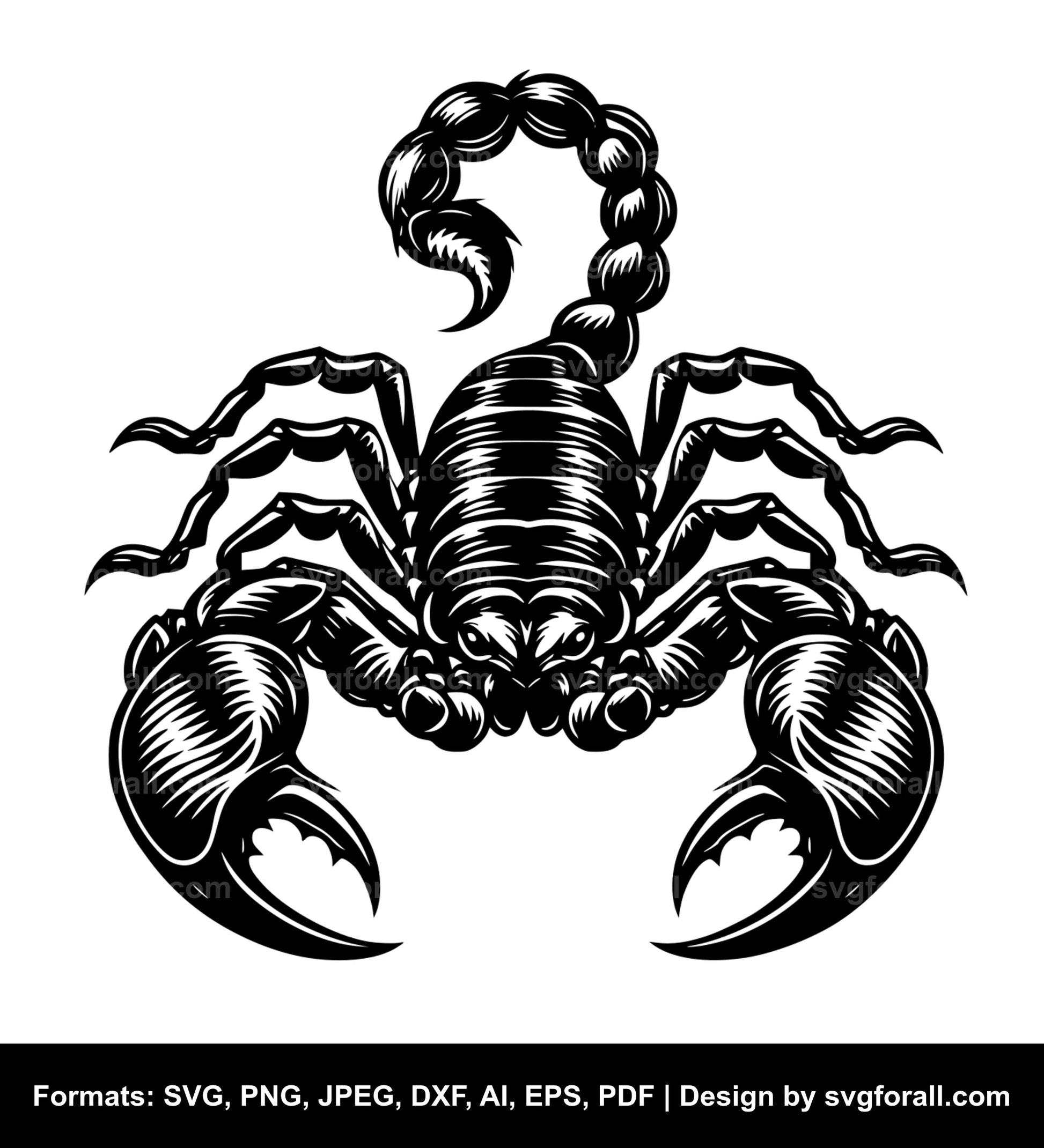 Scorpion Cricut SVG