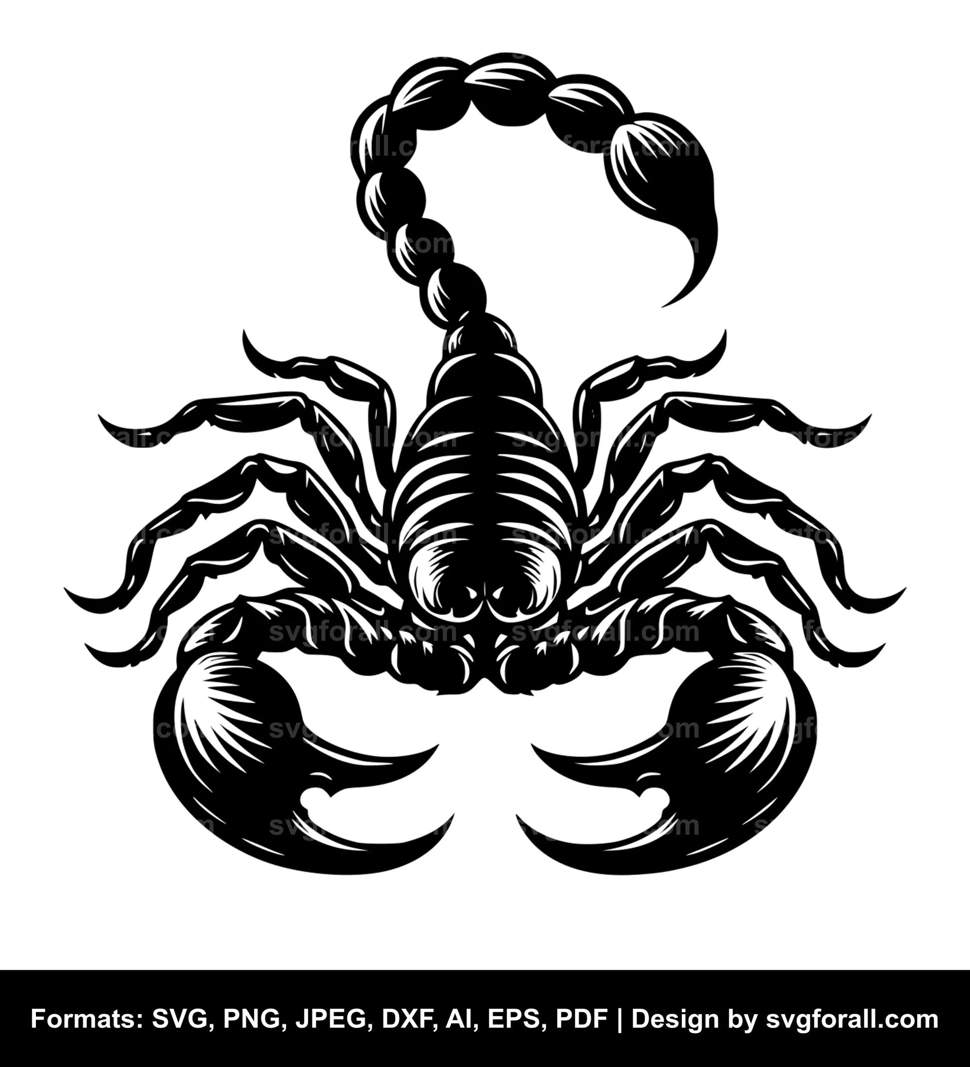 Scorpion SVG Vector