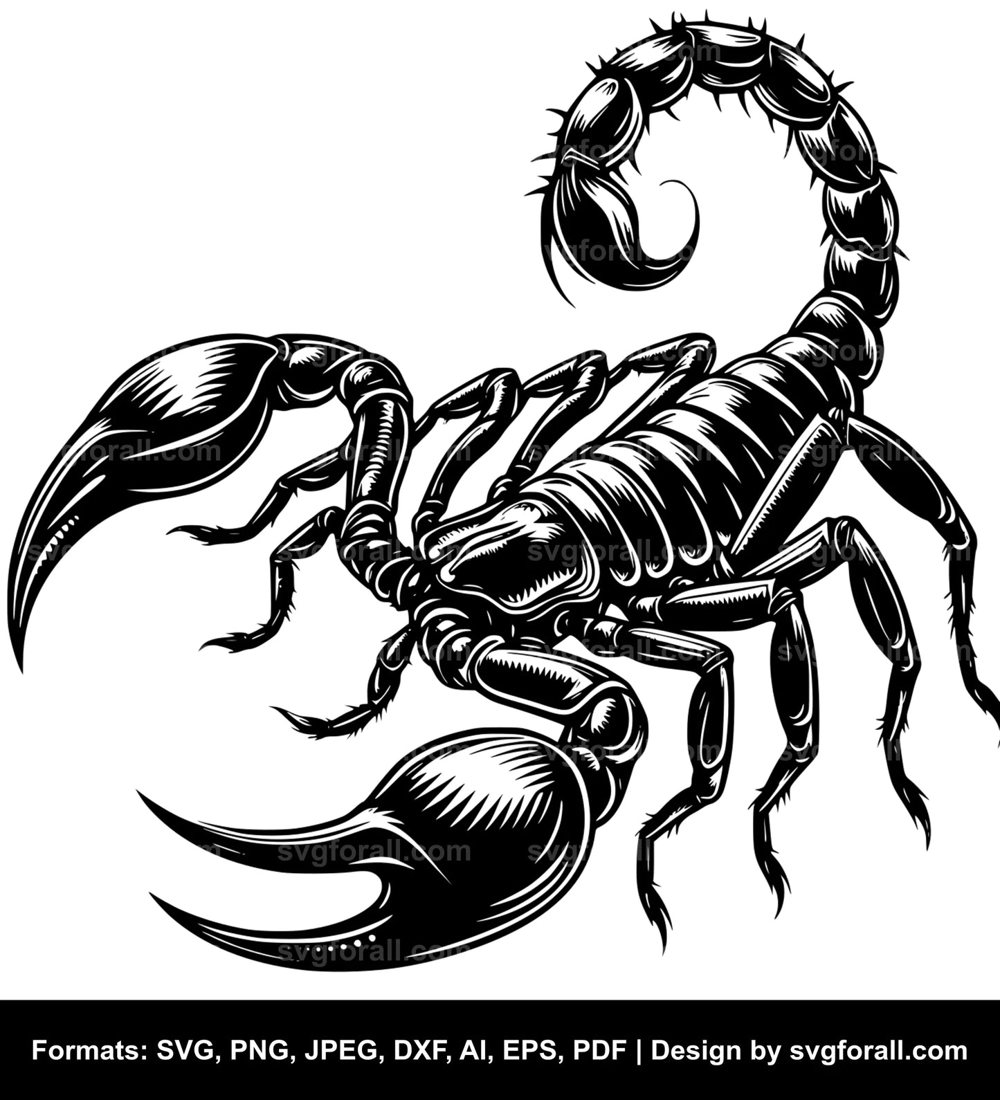 Scorpion Vector SVG