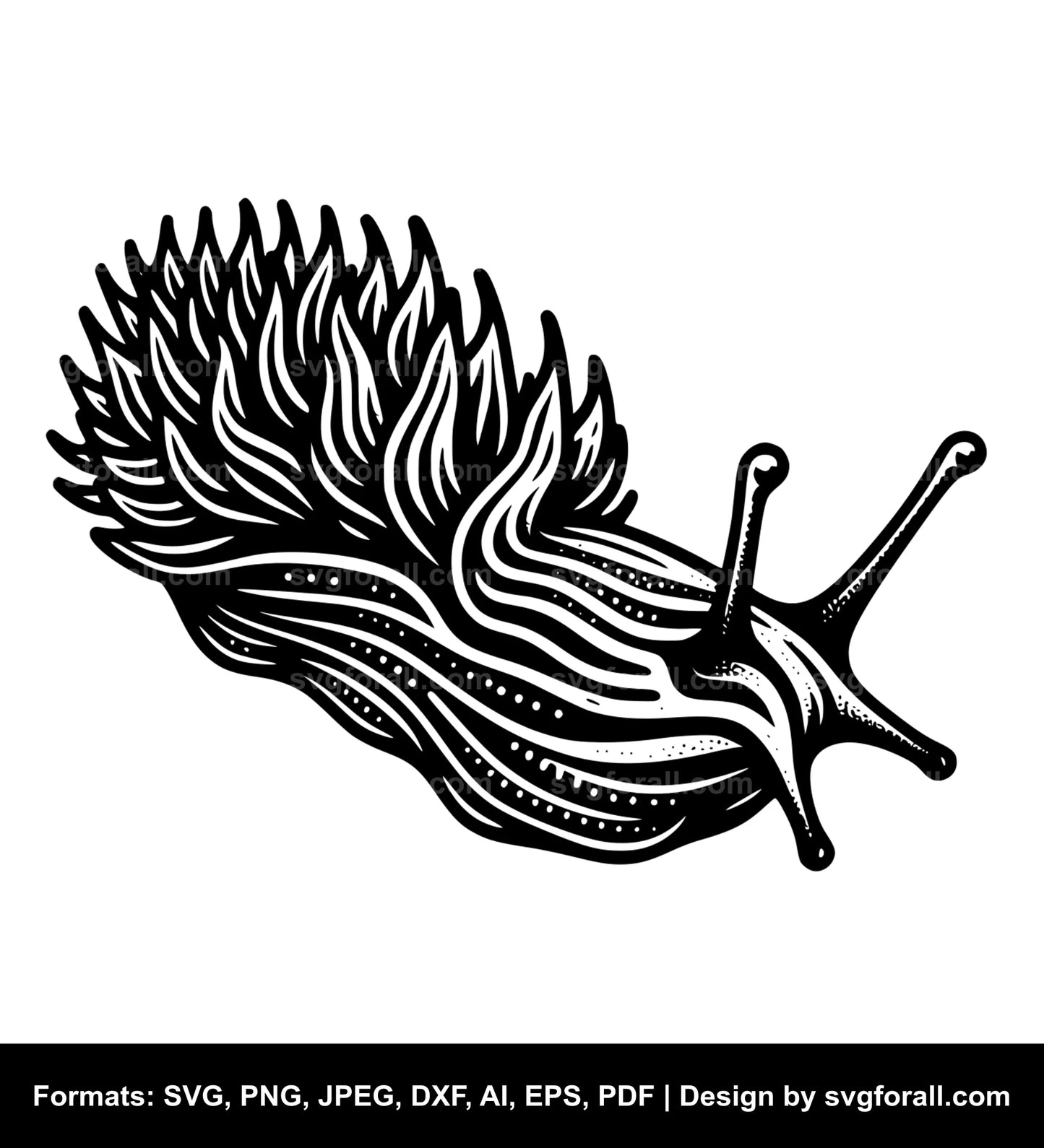 Sea Slug SVG File