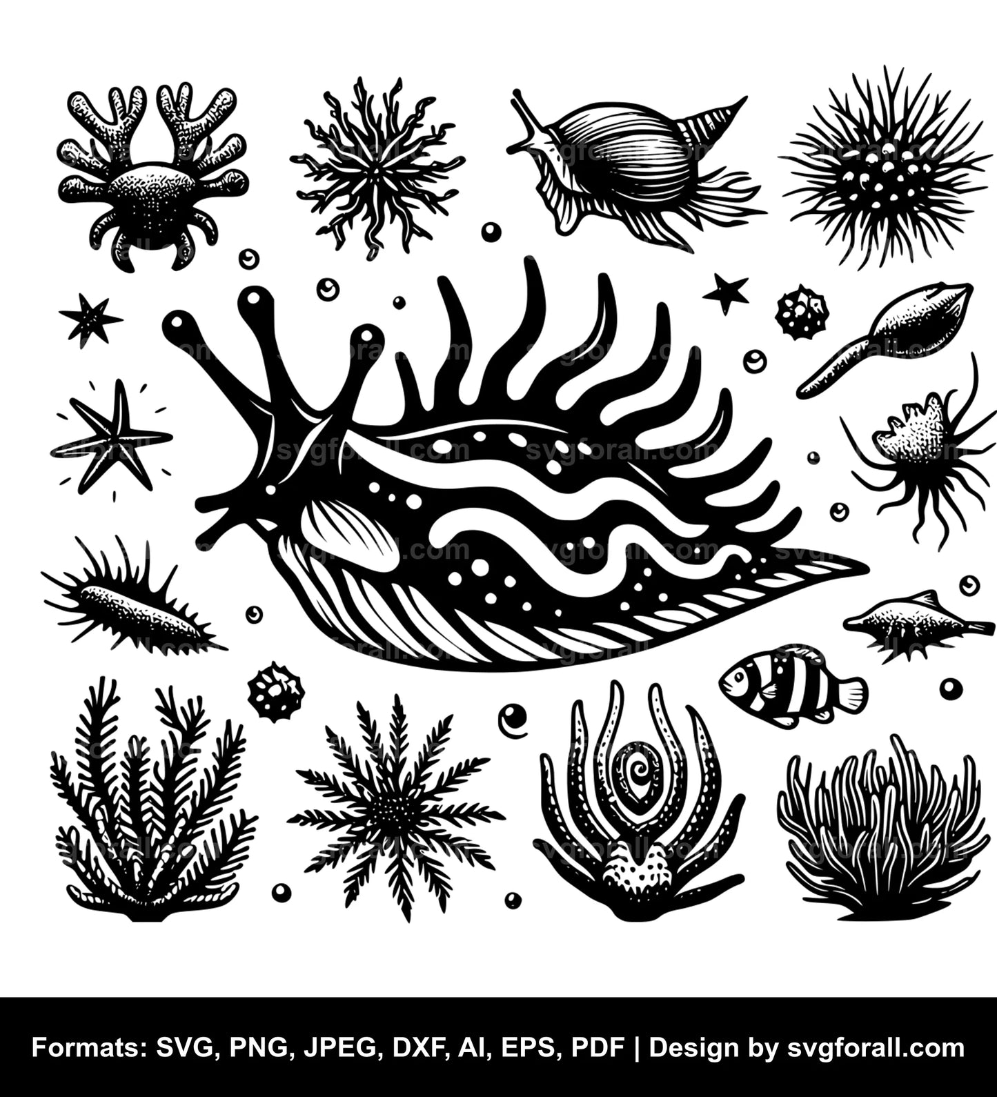 Sea Slug SVG PNG