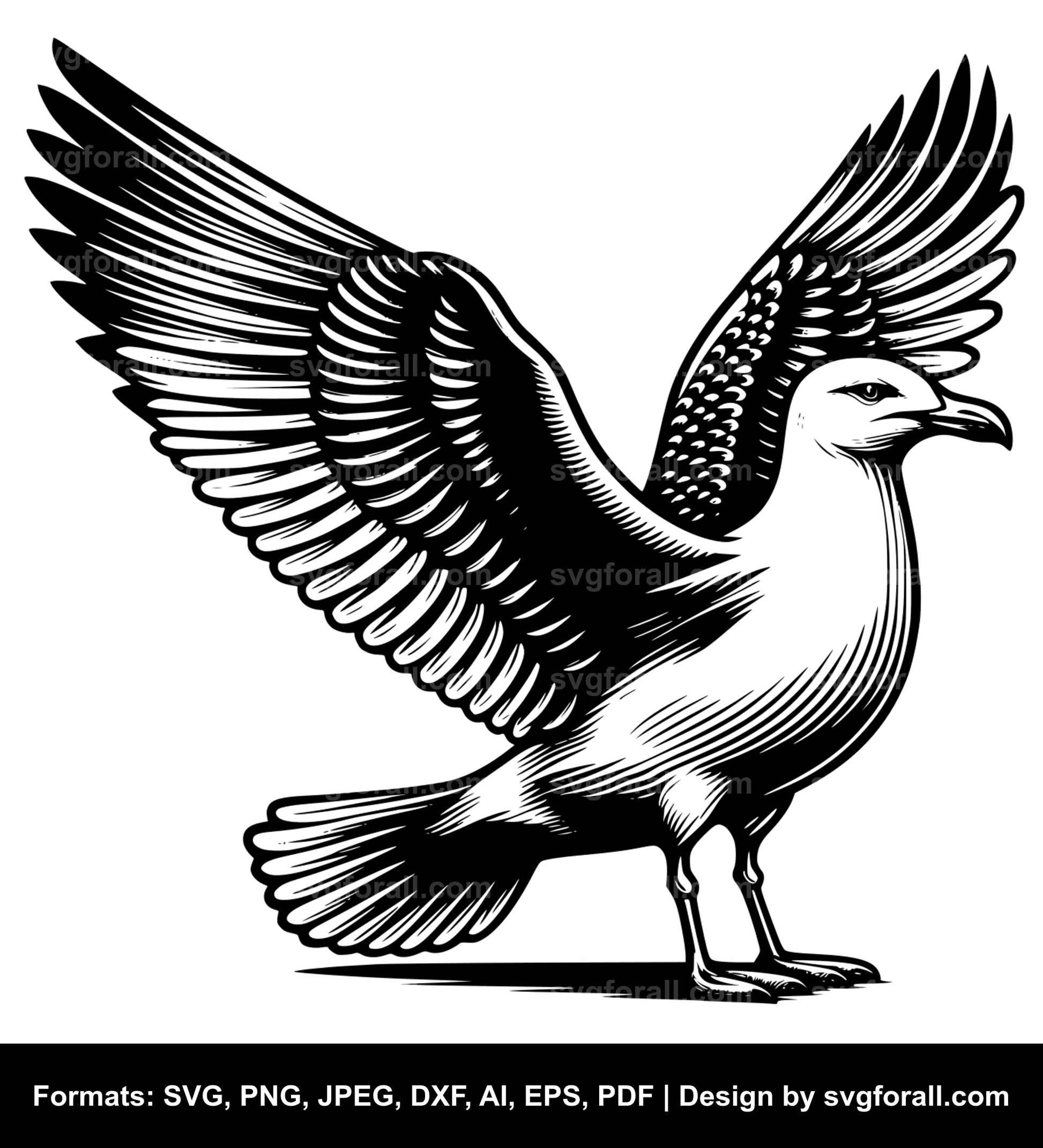 Seagull SVG PNG Image