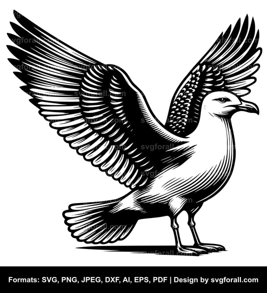 Seagull SVG PNG Image