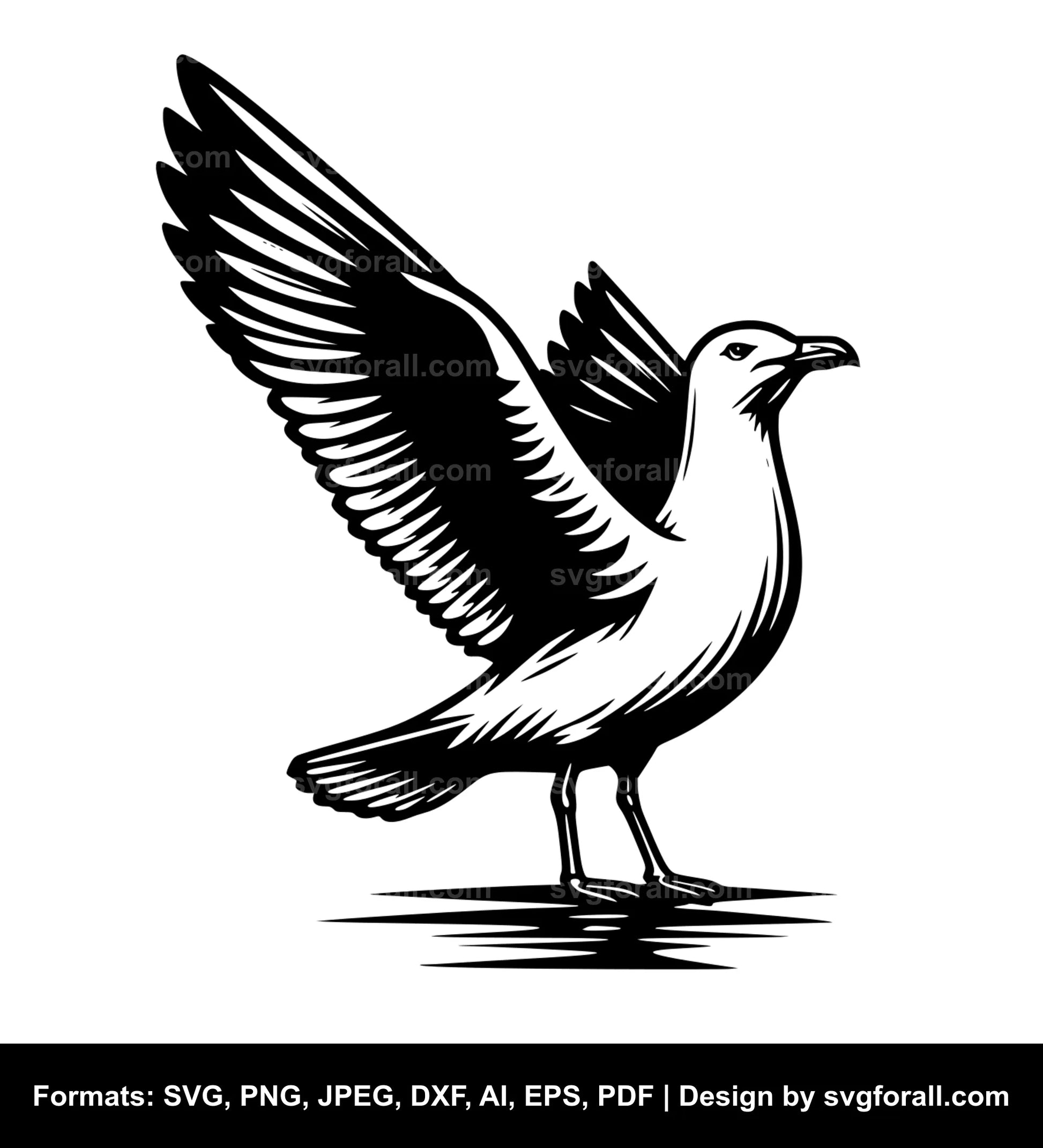 Seagull Vector SVG