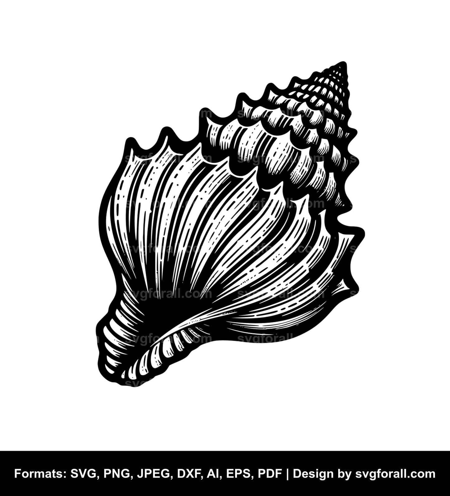 Seashell Black SVG