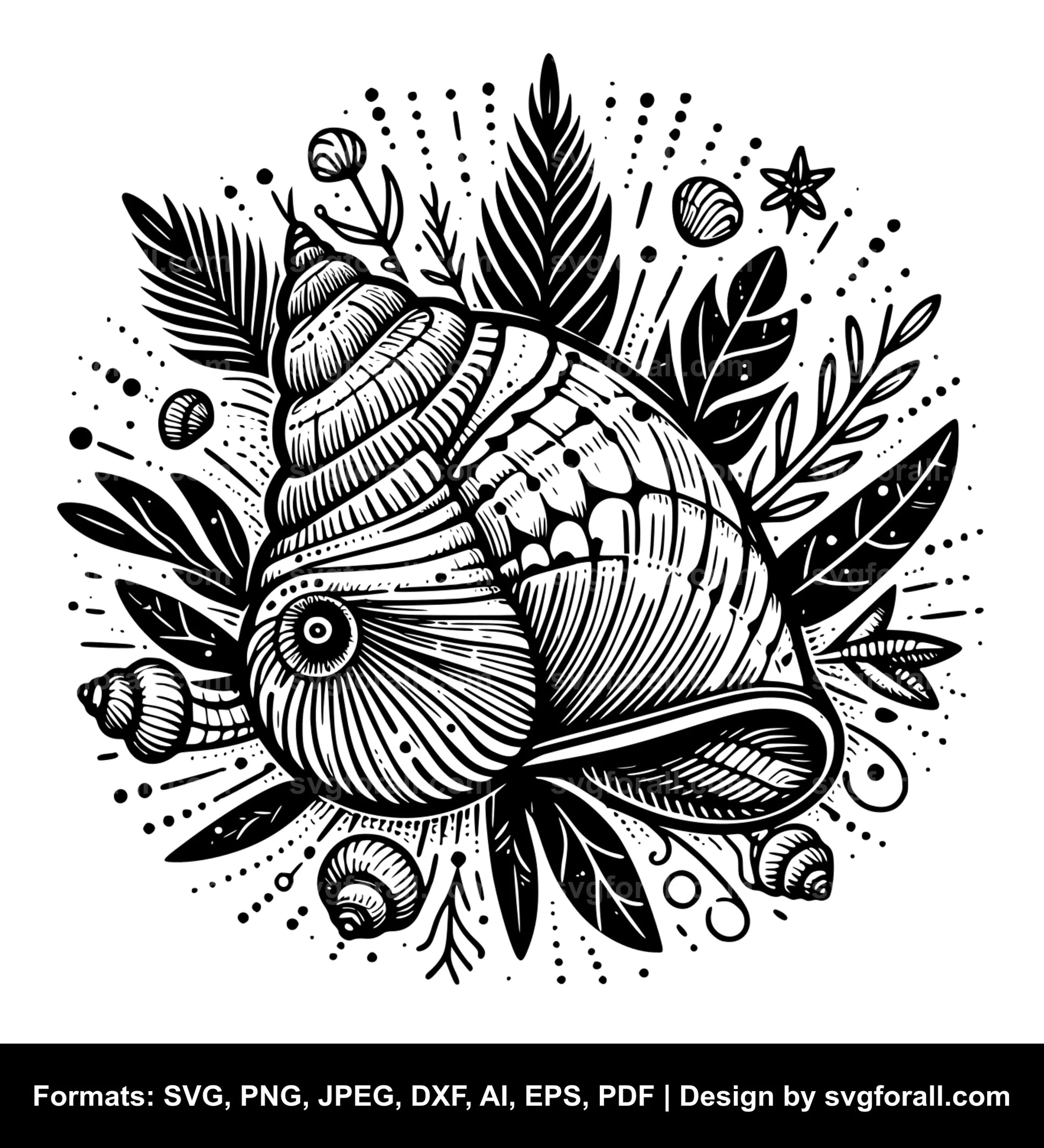 Seashell Cricut SVG