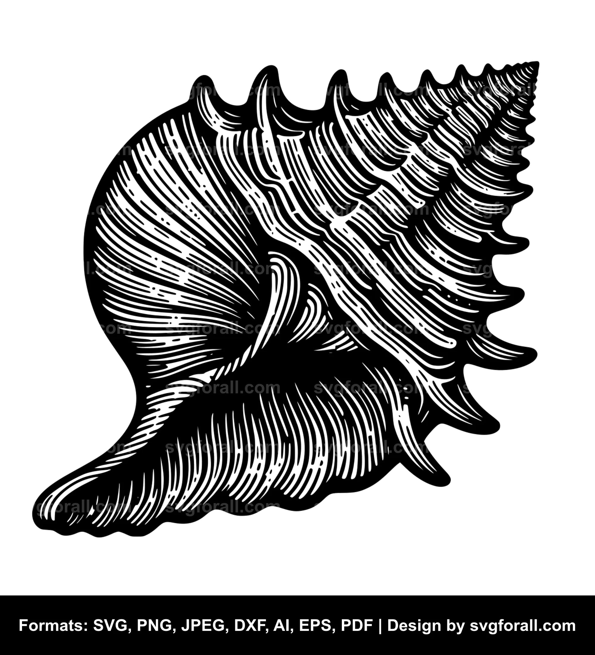 Seashell SVG