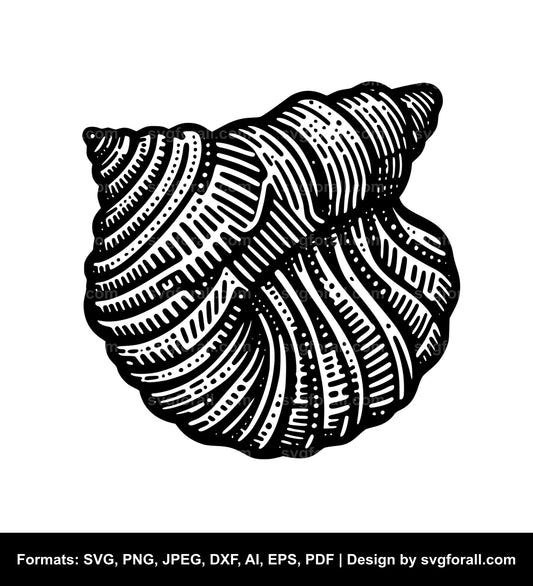 Seashell SVG File