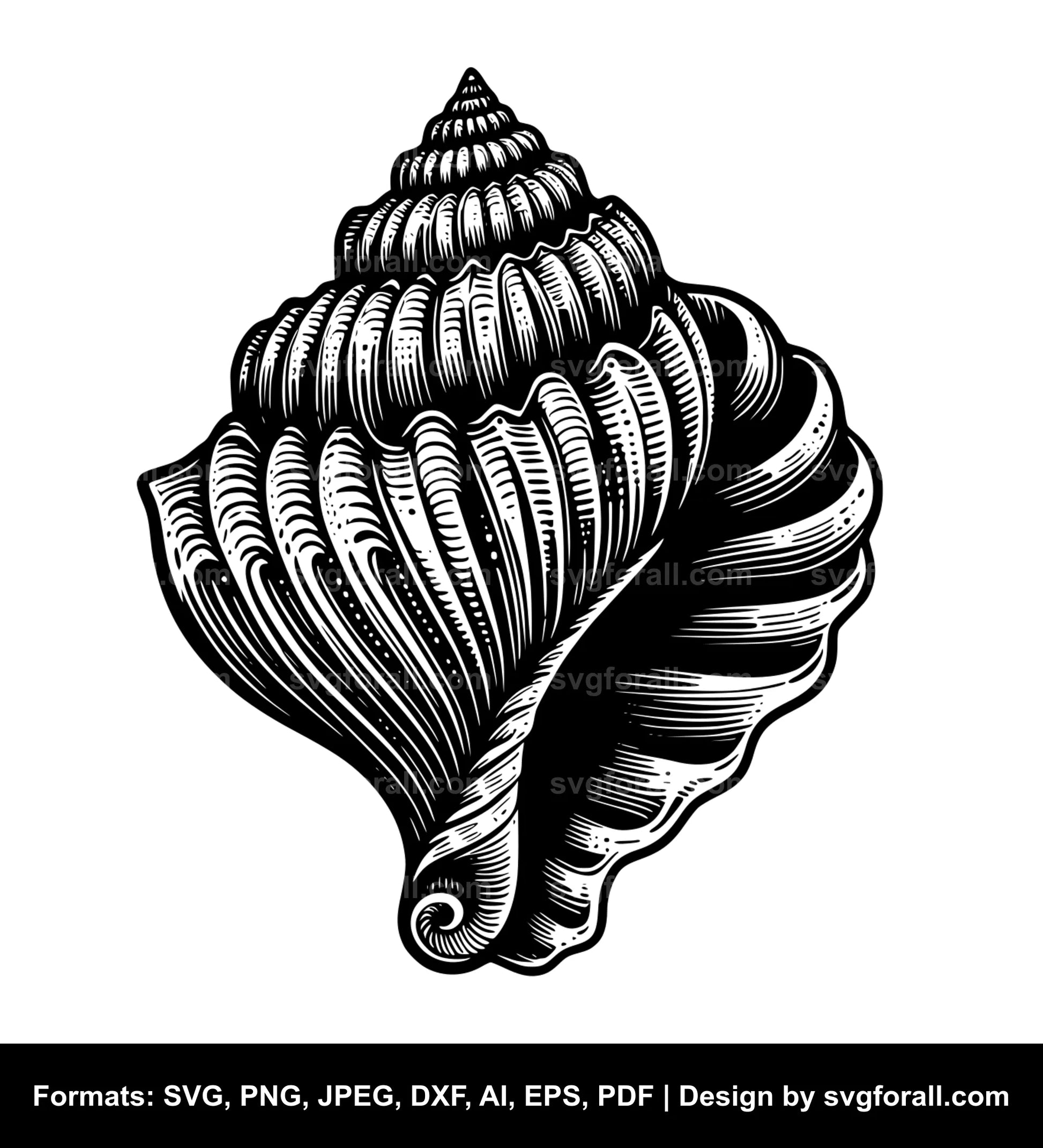 Seashell Vector SVG