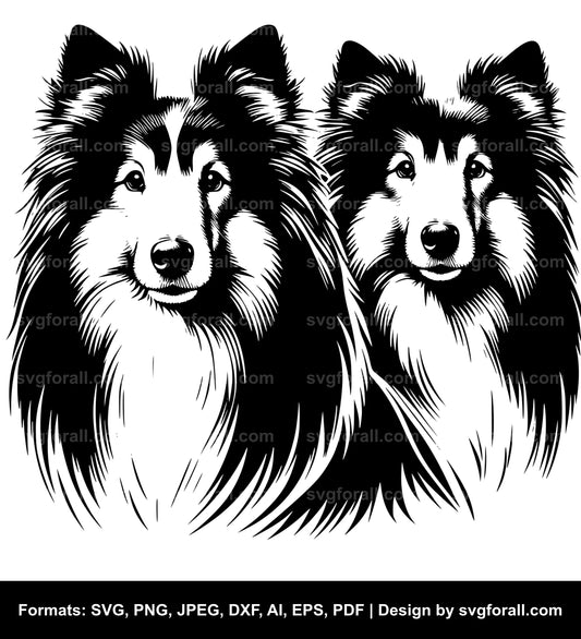 Shetland Sheepdog Dog SVG Design