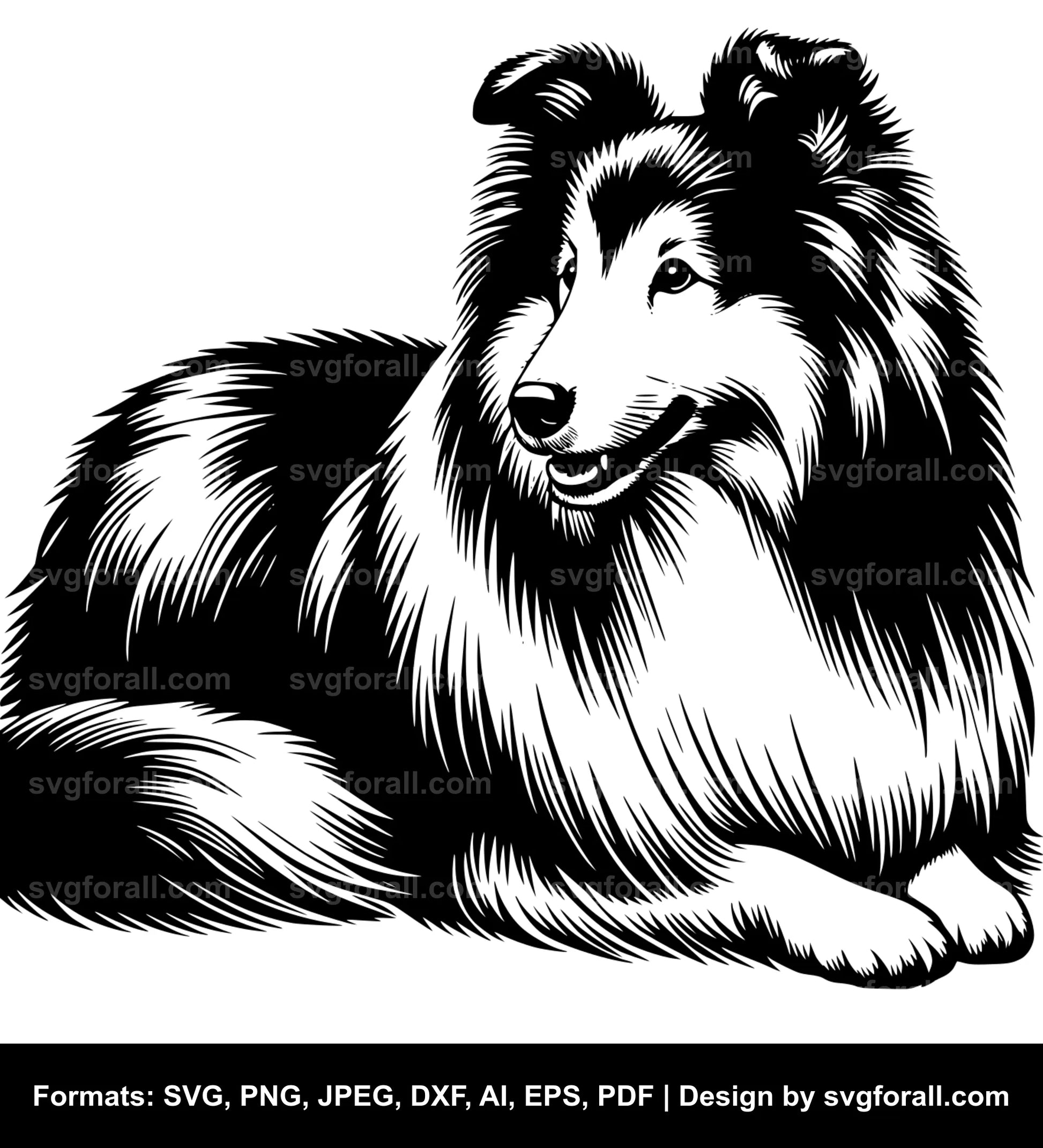 Shetland Sheepdog Dog SVG File