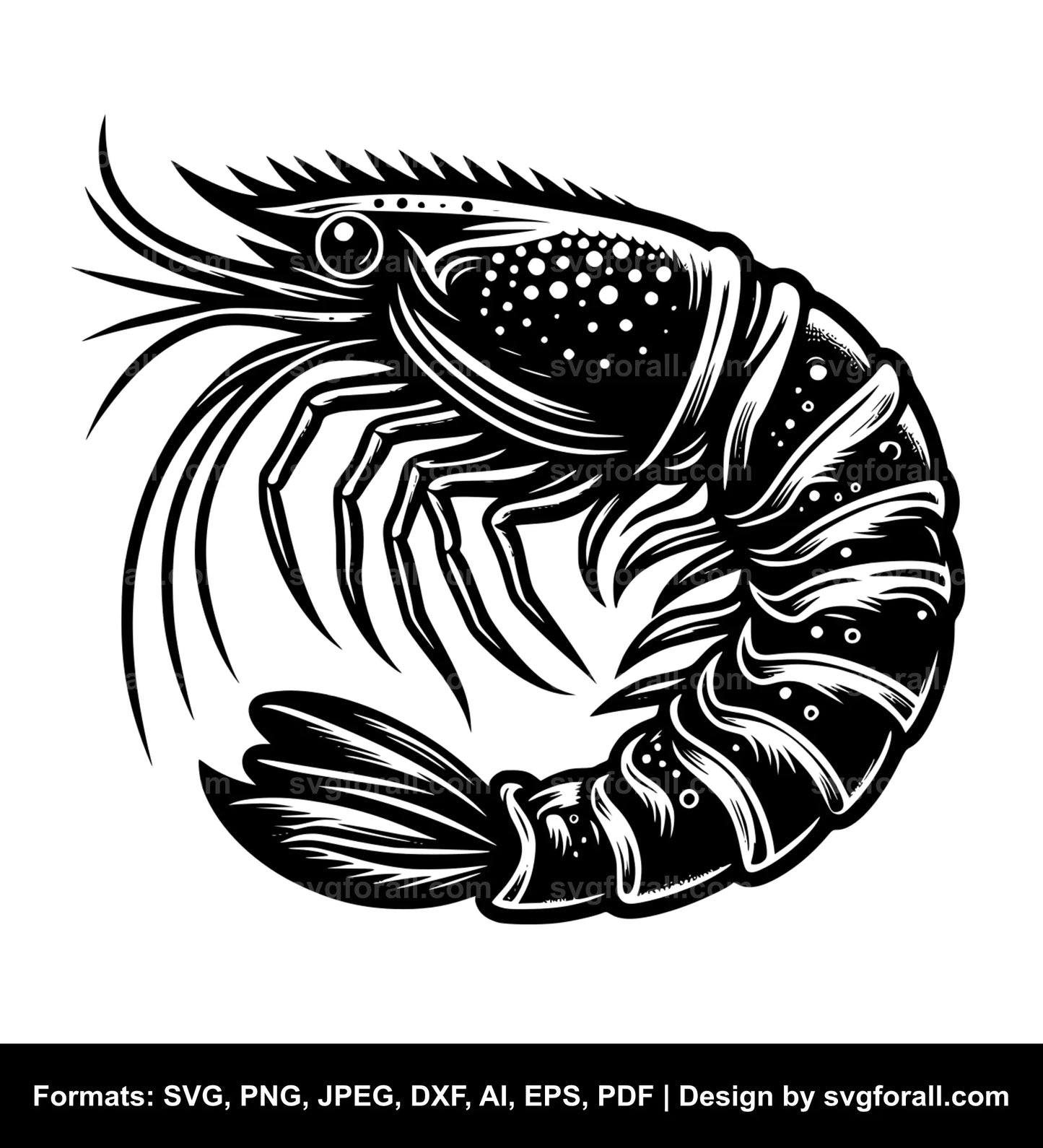 Shrimp Cricut SVG