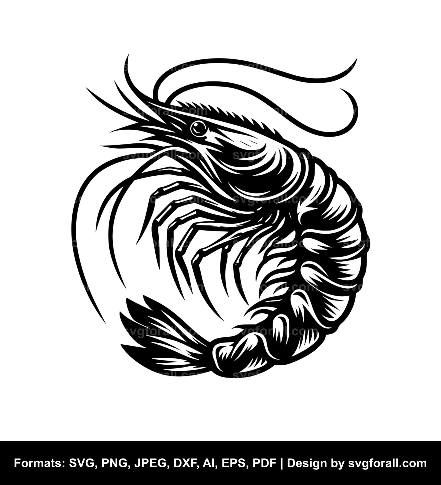 Shrimp SVG Design