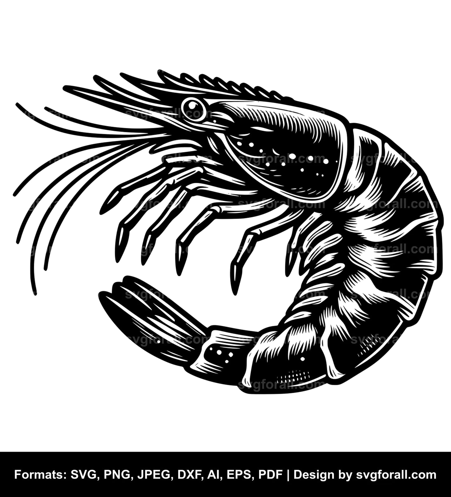 Shrimp SVG PNG