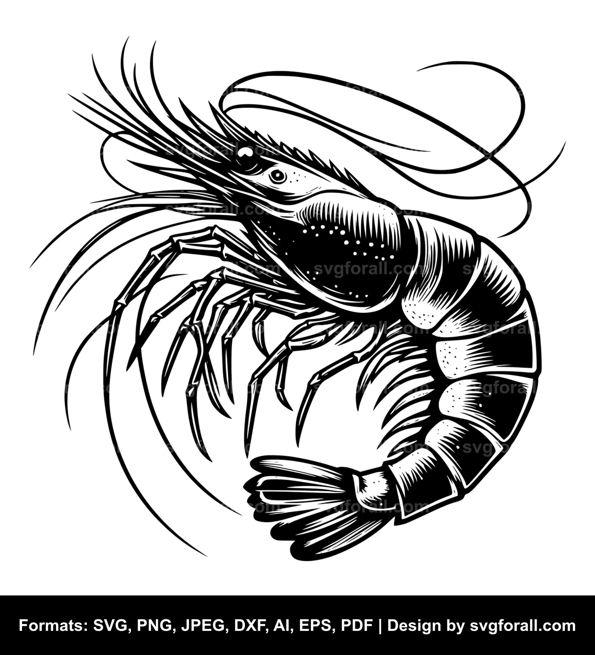 Shrimp SVG Vector