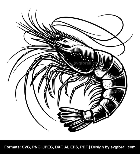 Shrimp SVG Vector