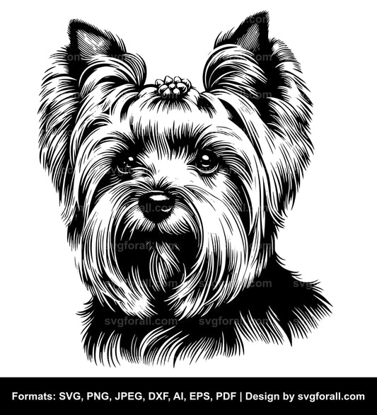 Silky Terrier Dog Black SVG