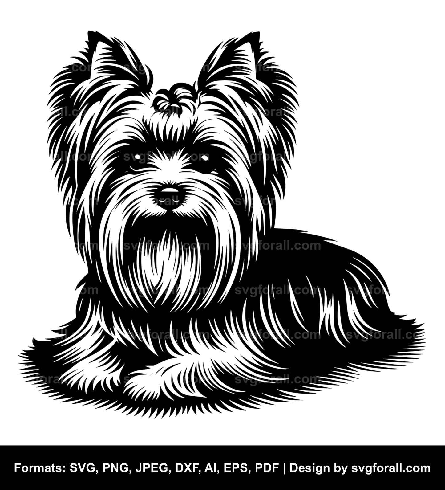 Silky Terrier Dog SVG PNG