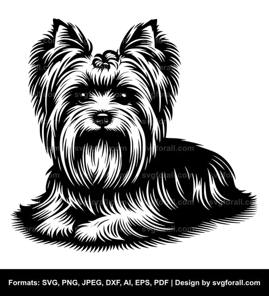 Silky Terrier Dog SVG PNG