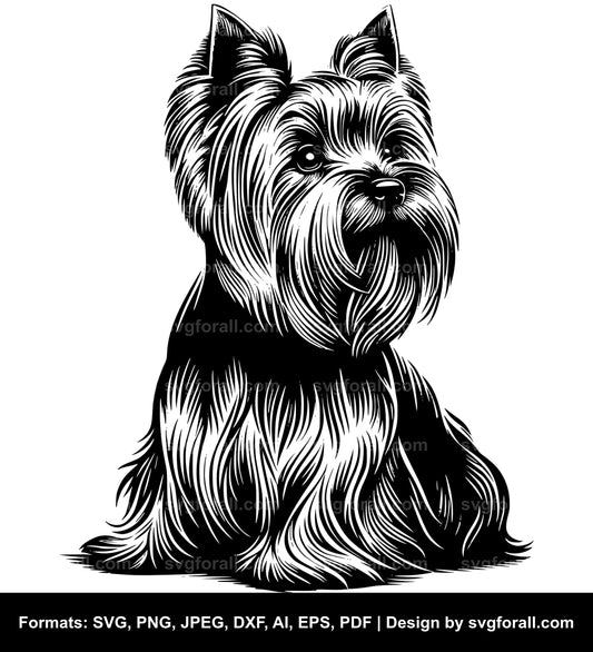 Silky Terrier Dog SVG Vector