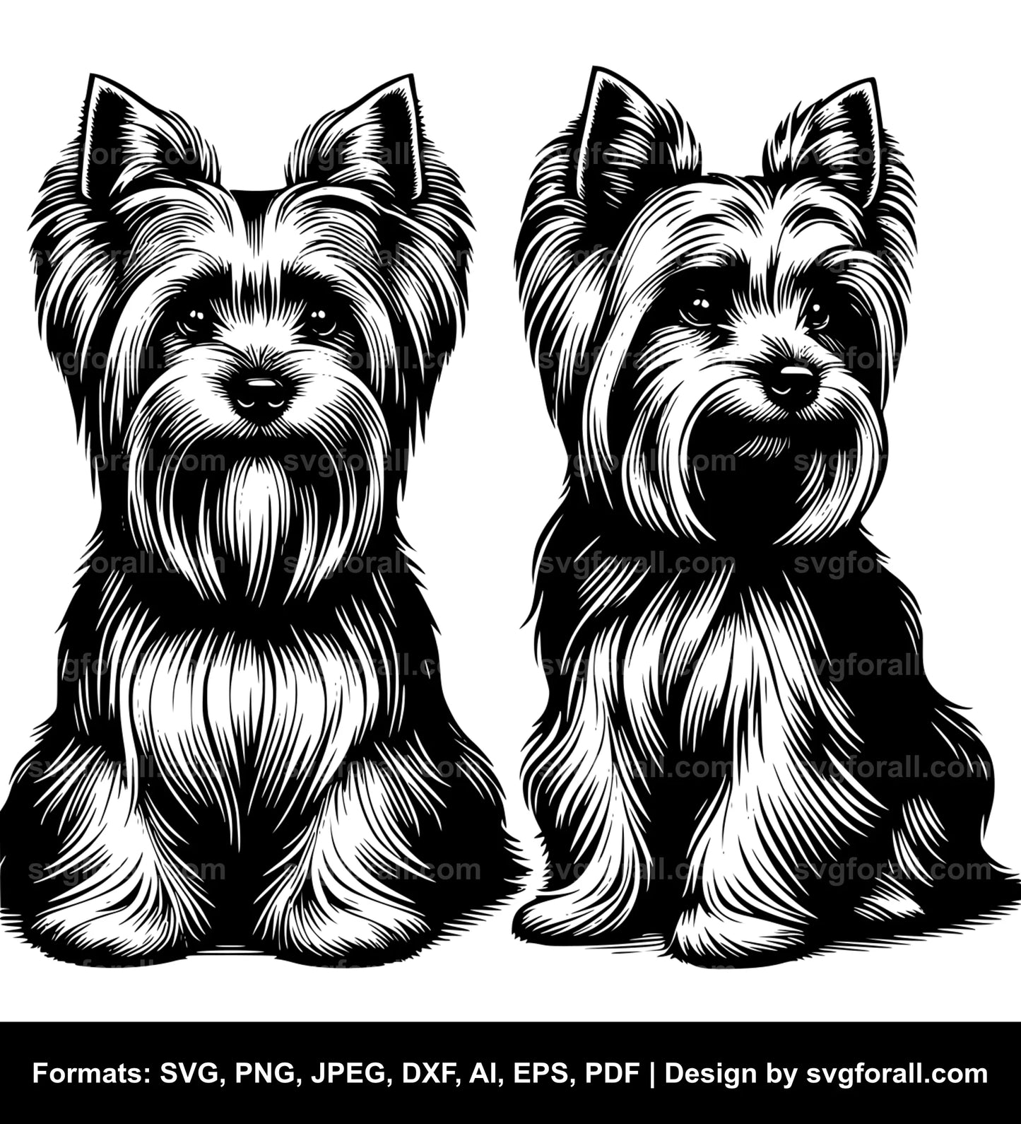 Silky Terrier Dog Vector SVG