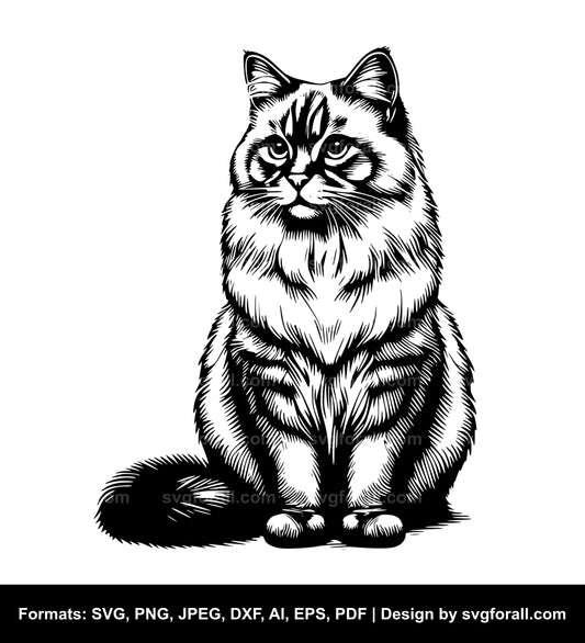 Sitting Cat SVG Vector