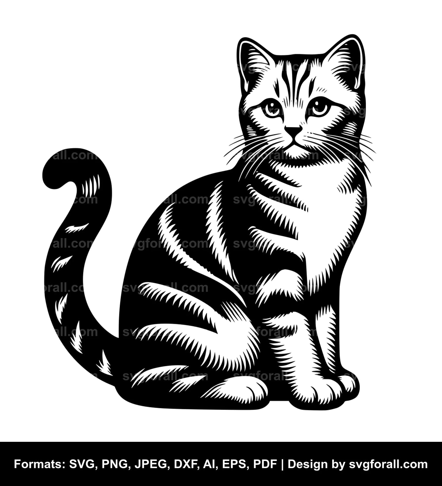 Sitting Cat Vector SVG