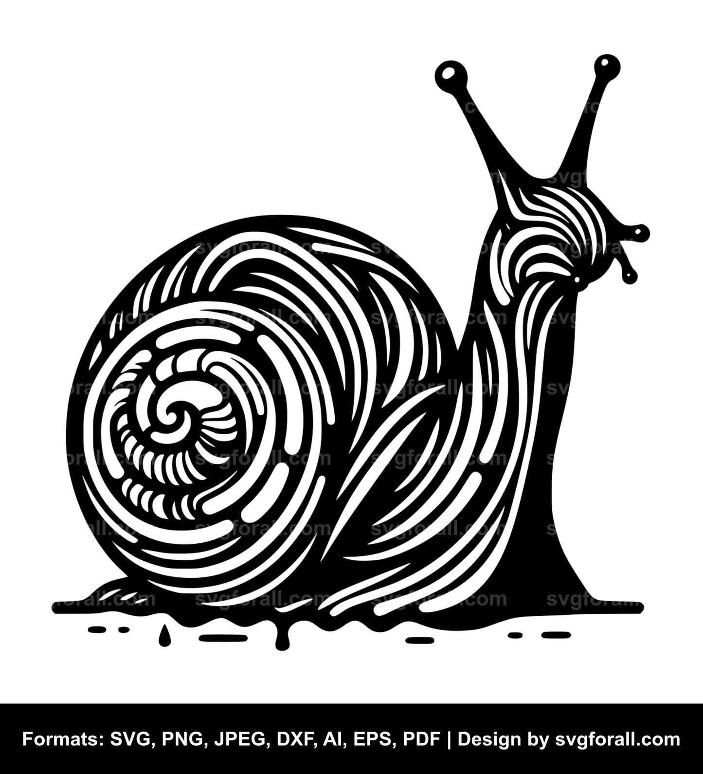 Snail Vector SVG