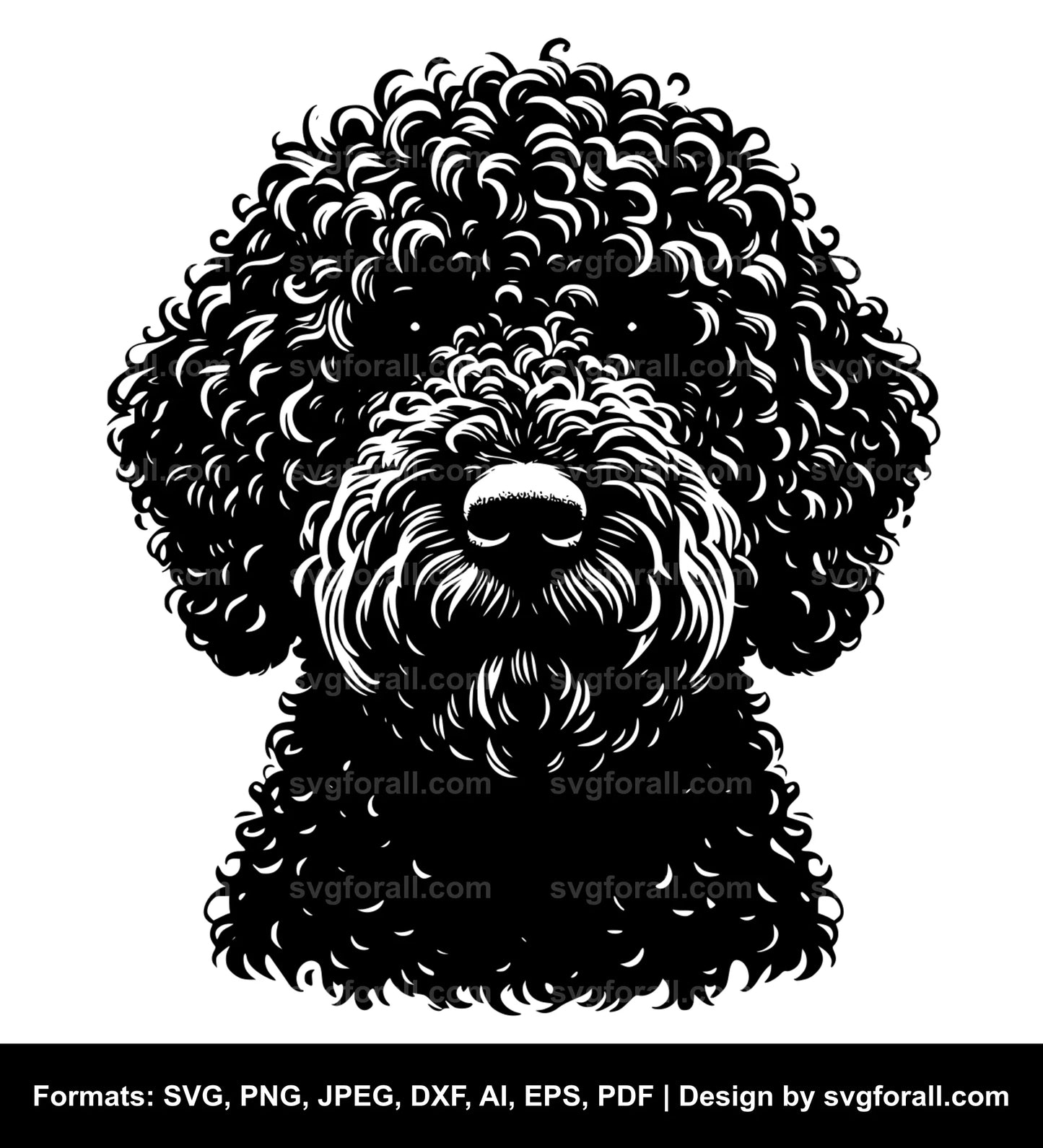 Spanish Water Dog SVG