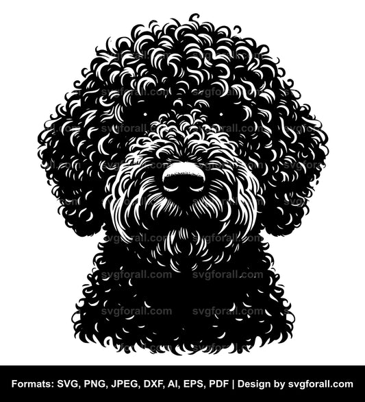 Spanish Water Dog SVG