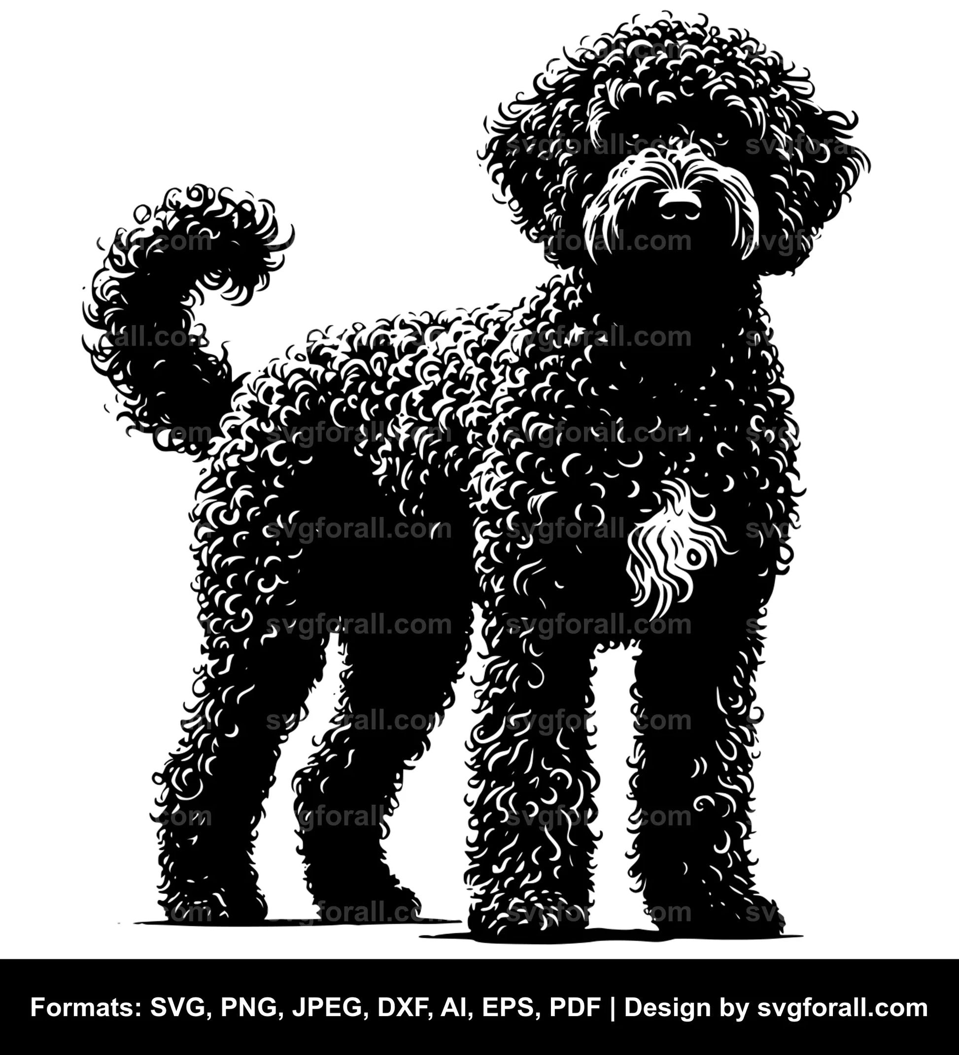 Spanish Water Dog Vector SVG