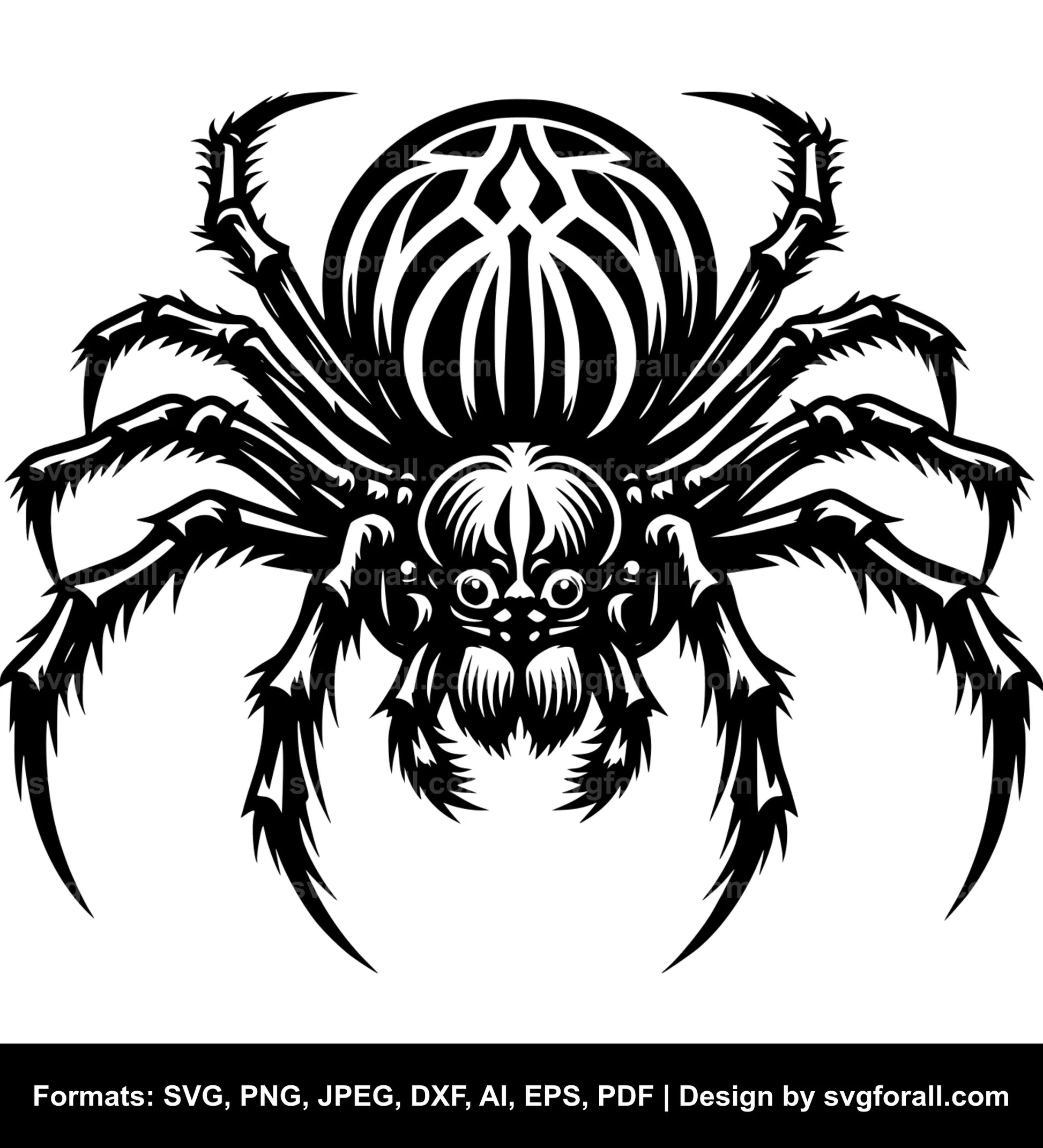 Spider SVG